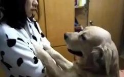 女轻点灬大JI巴太粗太长了A片